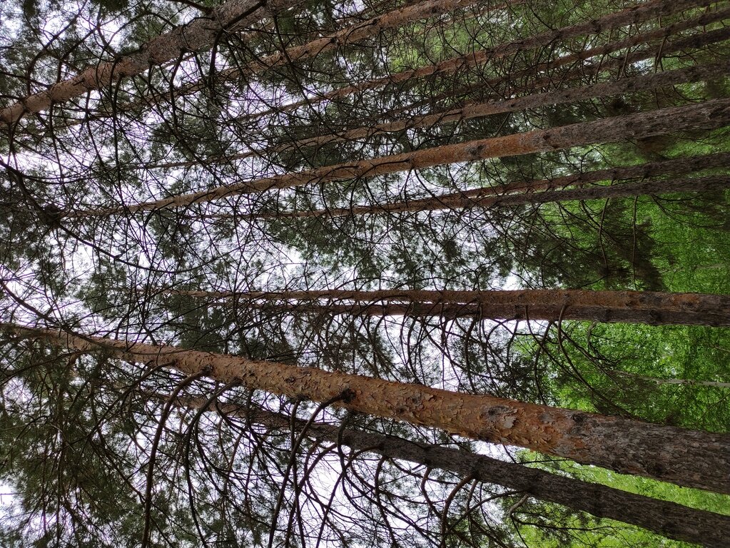 Фото из отзыва от 30.04.2022