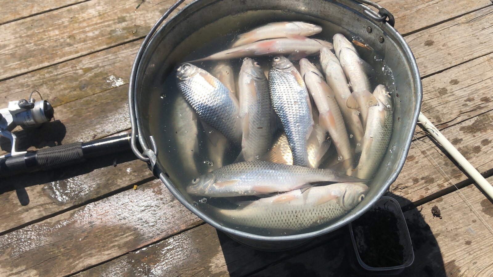 Фото 7 из отзыва о гостевом доме Poseidon Travels