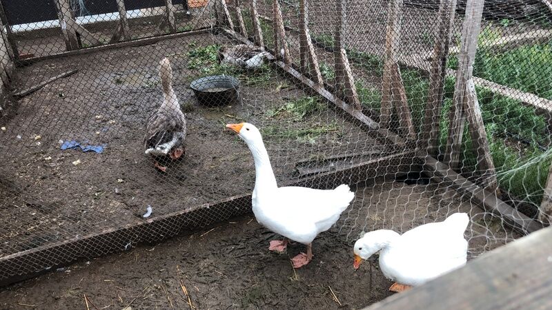 Фото 3 из отзыва о гостевом доме Poseidon Travels