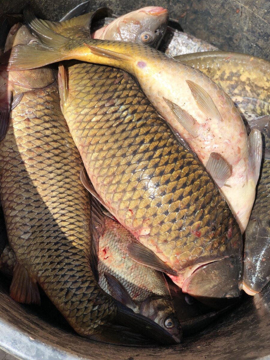 Фото 3 из отзыва о гостевом доме Poseidon Travels