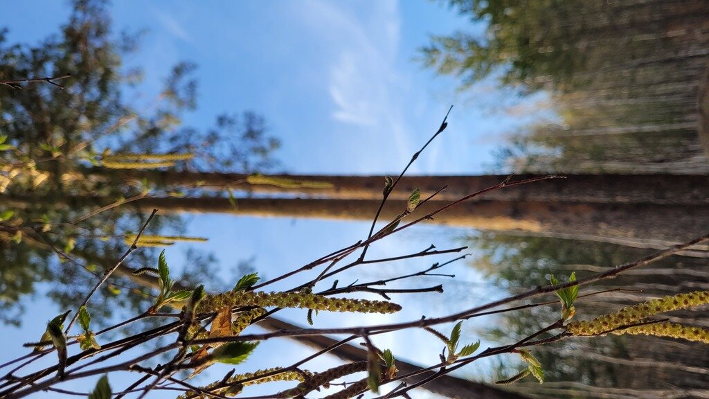 Фото из отзыва от 09.05.2022