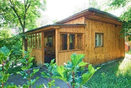 Хуторок, Саратовская область: фото 5