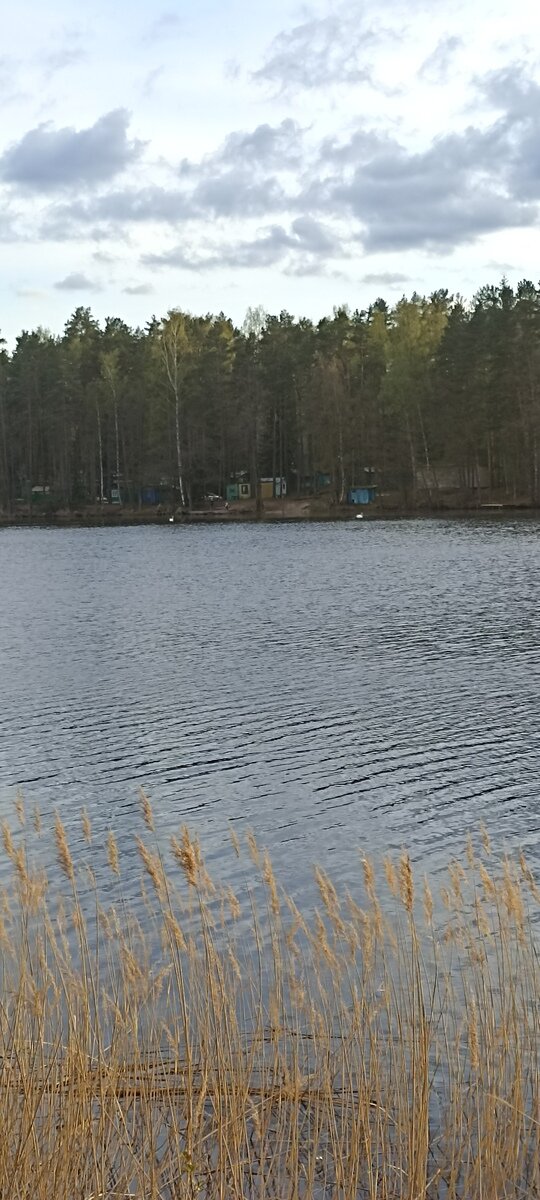 Фото 13 из отзыва о базе отдыха Охотник и рыболов