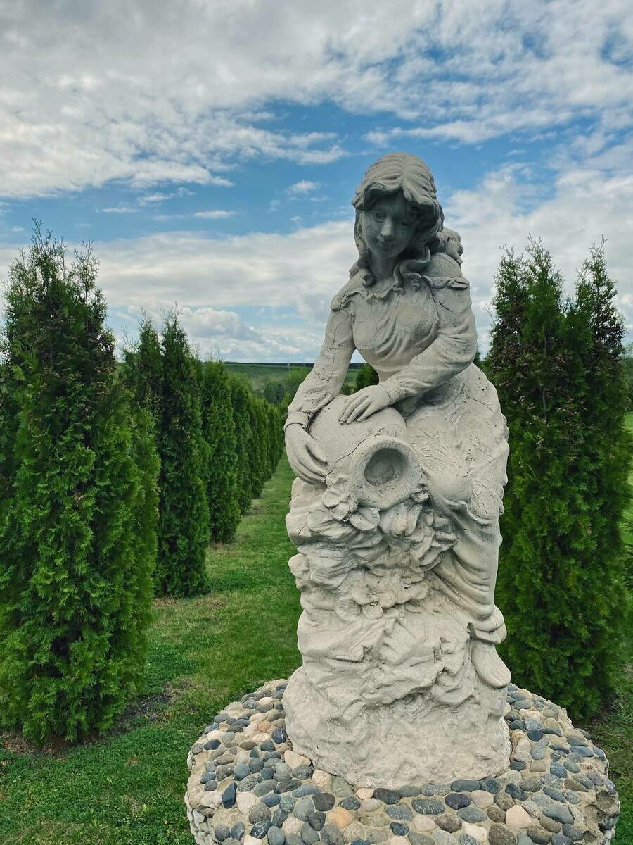 Фото 7 из отзыва о доме в аренду Дома в аренду