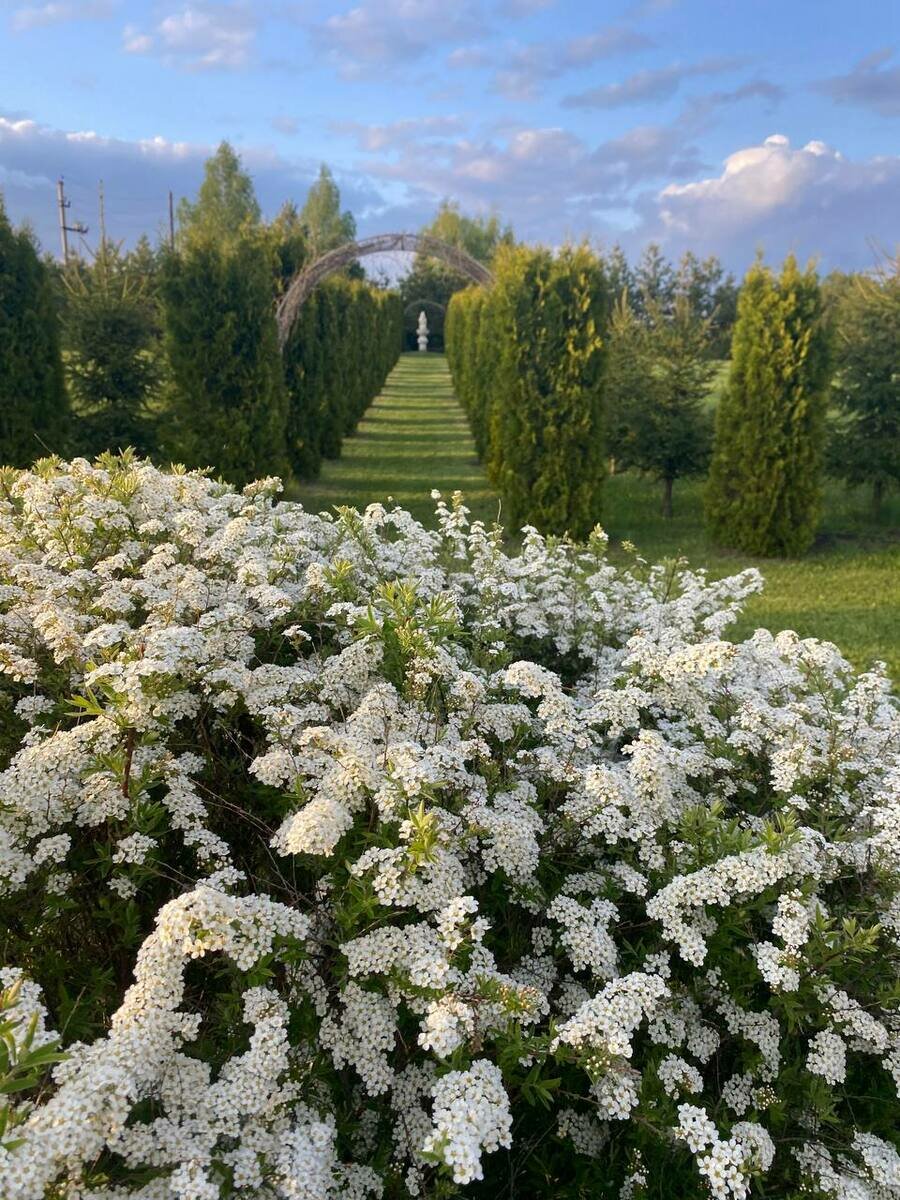 Фото 8 из отзыва о доме в аренду Дома в аренду