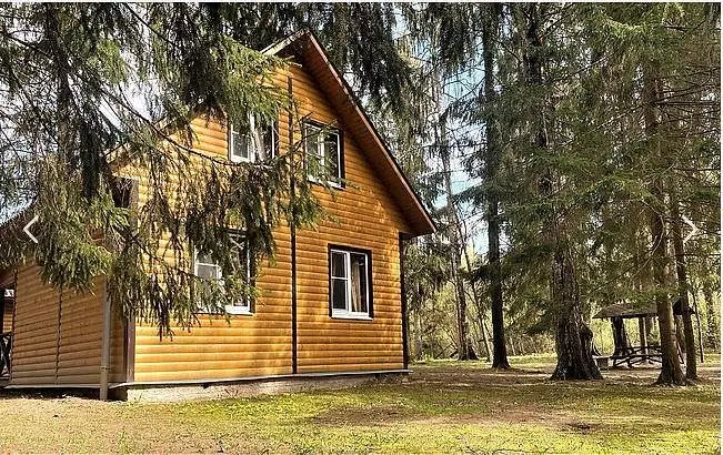 Охотник и рыболов, Ленинградская область: фото 4