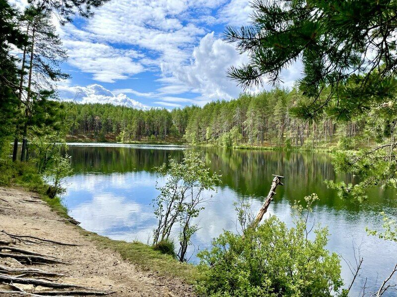 Северное сияние, Республика Карелия: фото 3