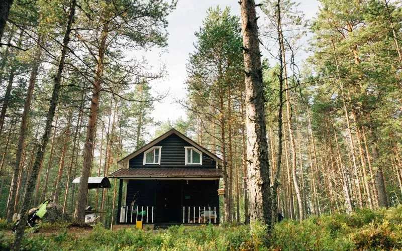 Северное сияние, Республика Карелия: фото 2