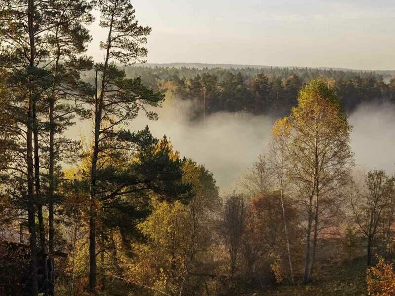 Дом на берегу реки Угра , Смоленская область: фото 4