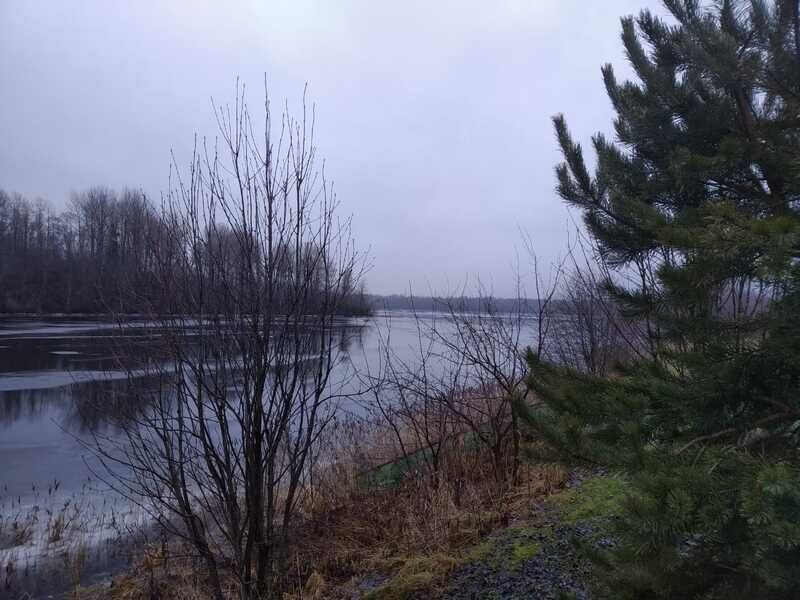 Дом у озера, Вологодская область: фото 4