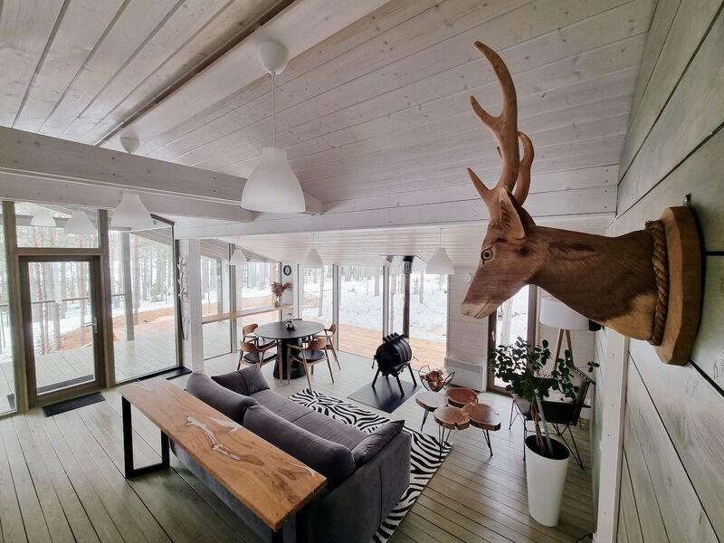 Трувор Глэмпинг, Новгородская область: фото 5