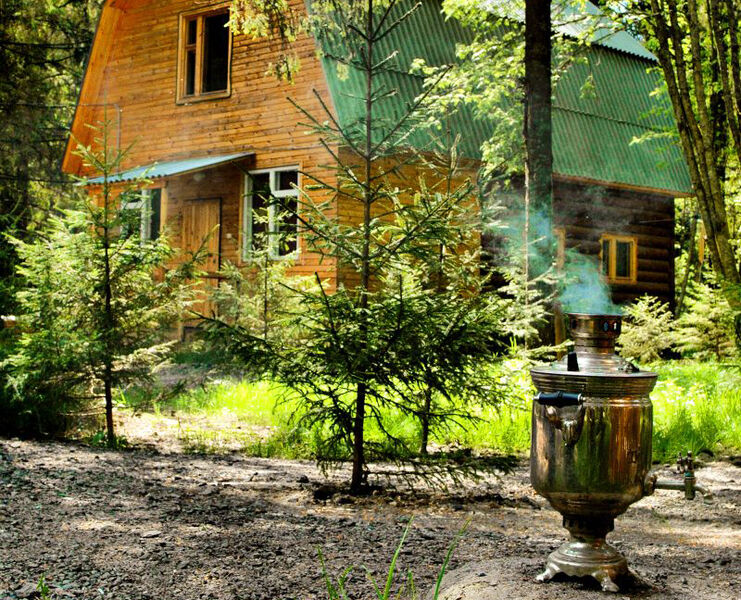 На природе | Конни, Вологодская область