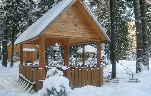 Беседка | Конни, Вологодская область