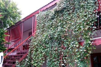 Гостевой дом «У Людмилы»