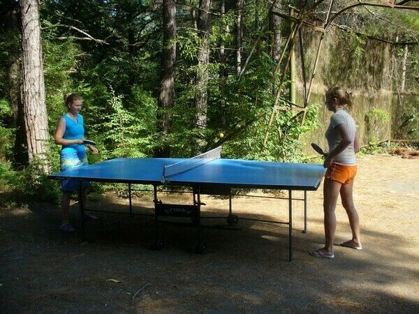 Настольный теннис | МГУЛ, Краснодарский край