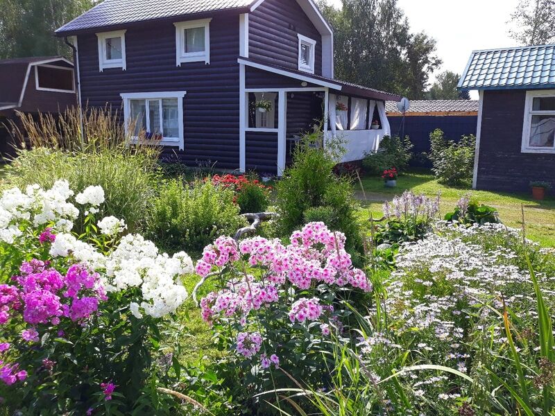 Сосны, Республика Карелия: фото 2