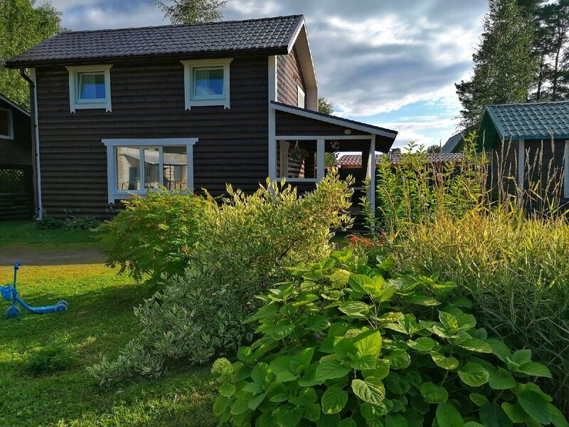 Сосны, Республика Карелия: фото 3