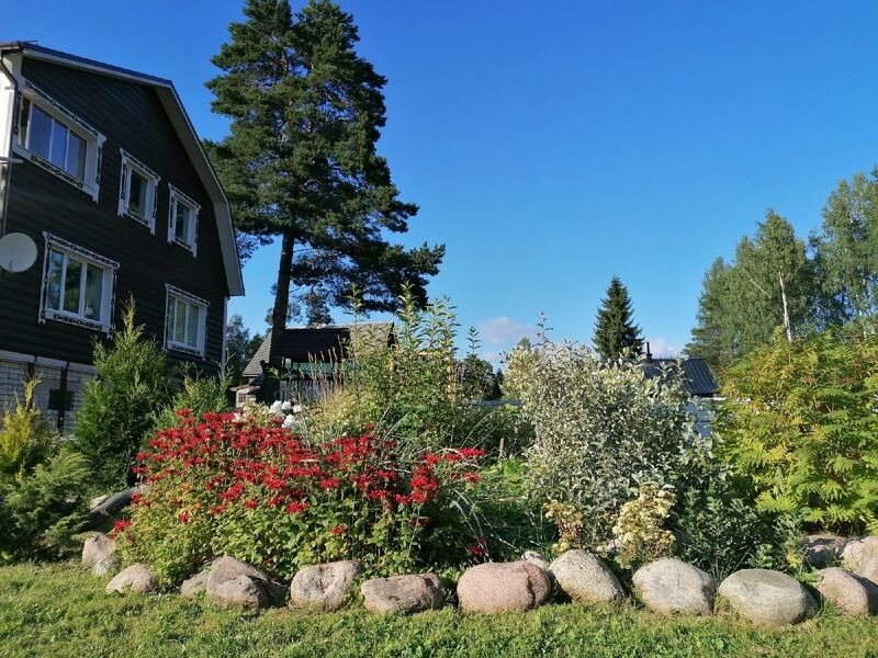 Сосны, Республика Карелия: фото 5