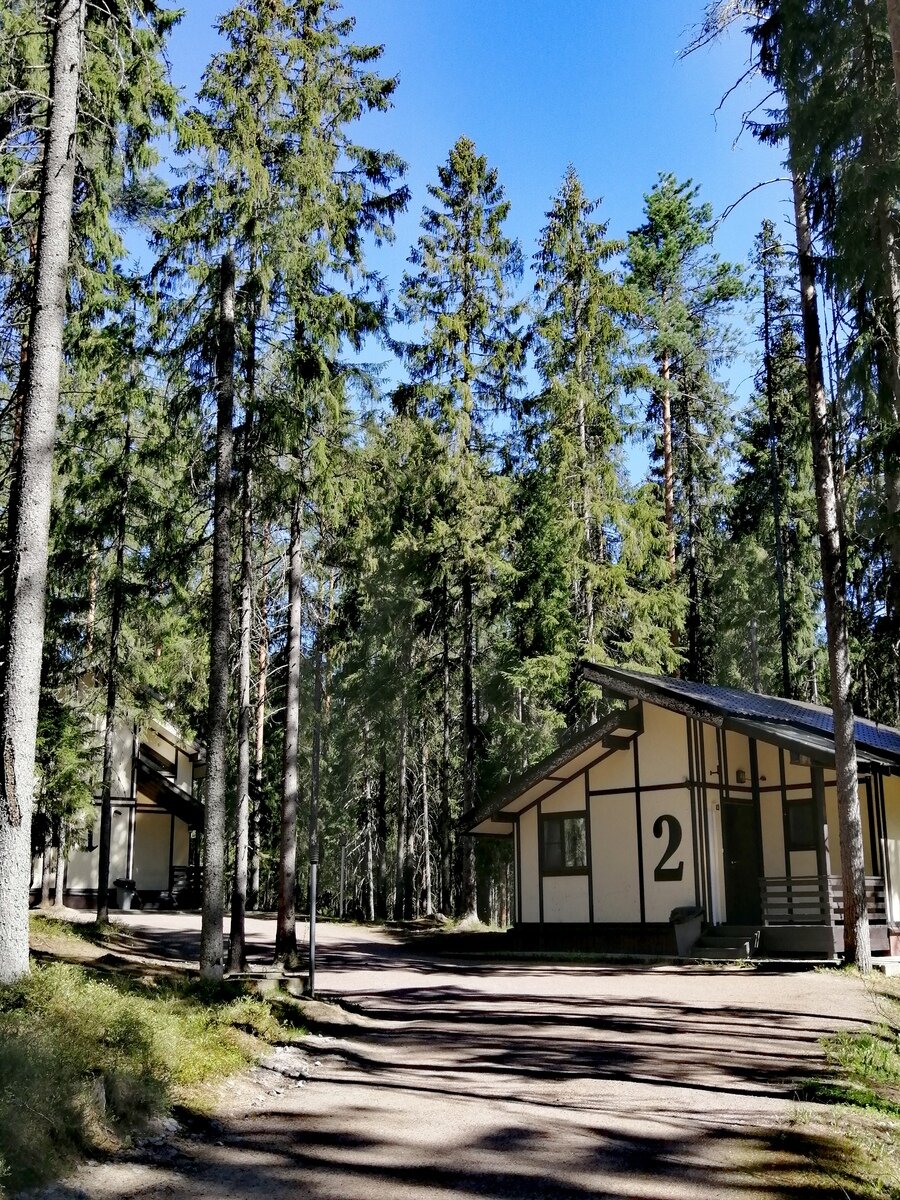 Фото 22 из отзыва о базе отдыха Ильичево