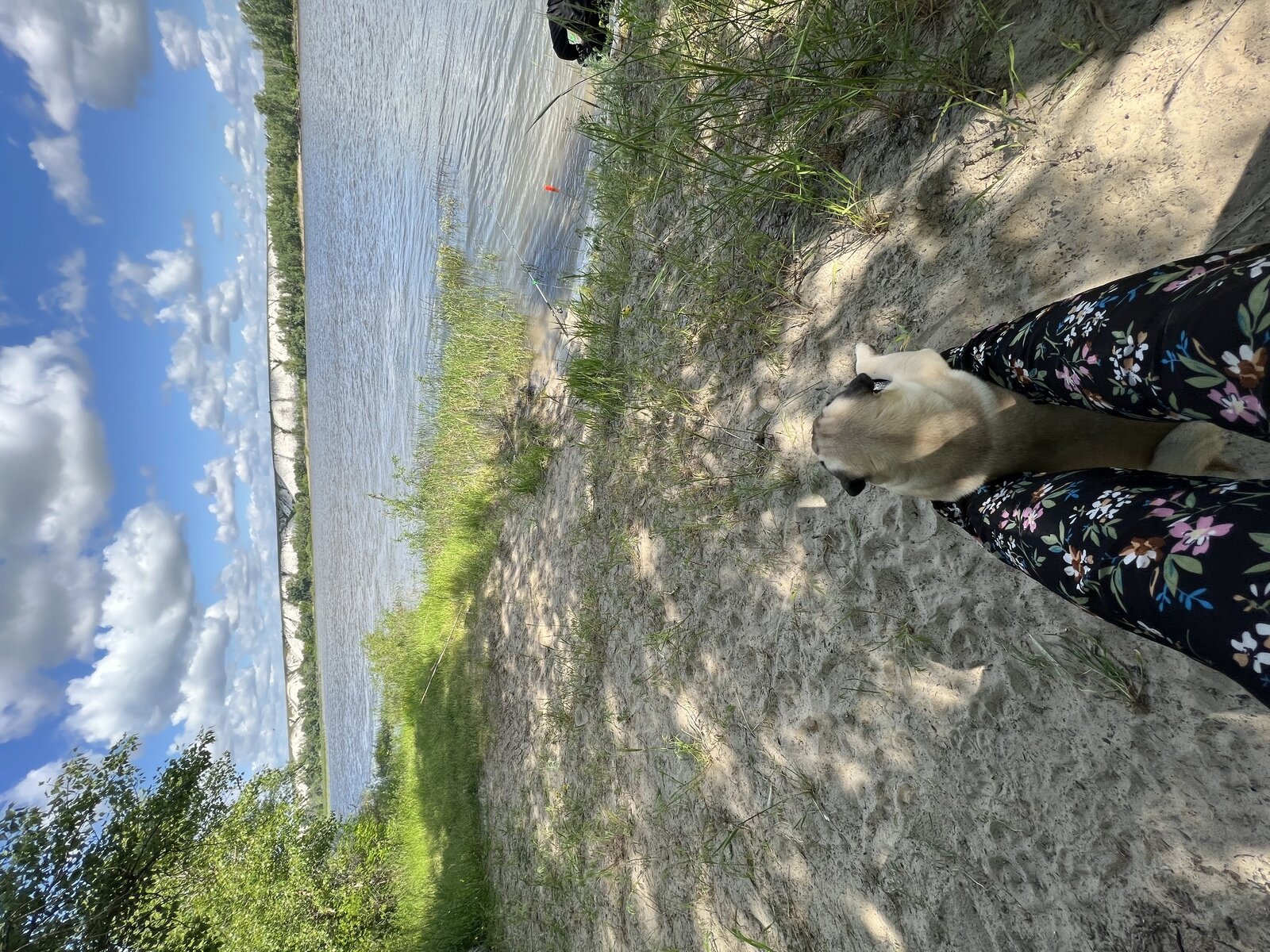 Фото 41 из отзыва о базе отдыха Дон