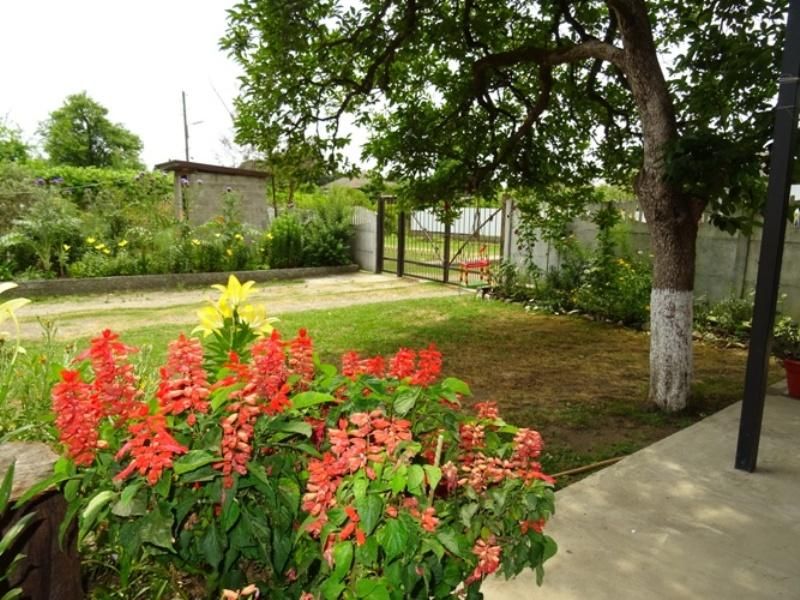 Территория | Нарт, Гагрский район