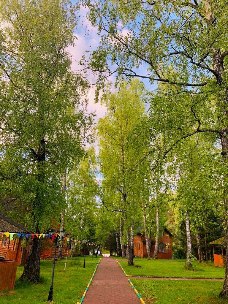 Фото 11 из отзыва о базе отдыха Березовая роща