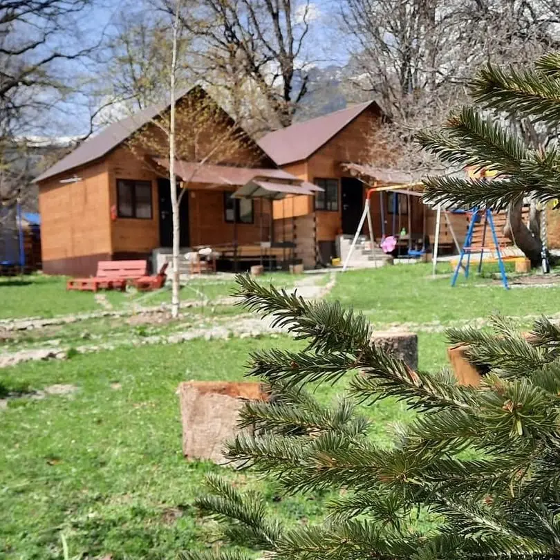 Барбарис, Республика Карачаево-Черкесия: фото 2