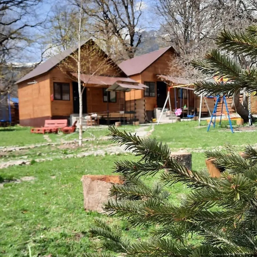 Барбарис, Республика Карачаево-Черкесия: фото 2