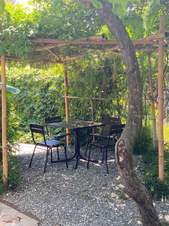 Территория | Green Garden, Сухумский район