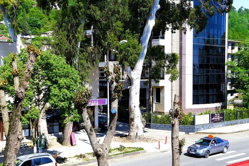 Вид | Гагра-Лазурная, Гагрский район