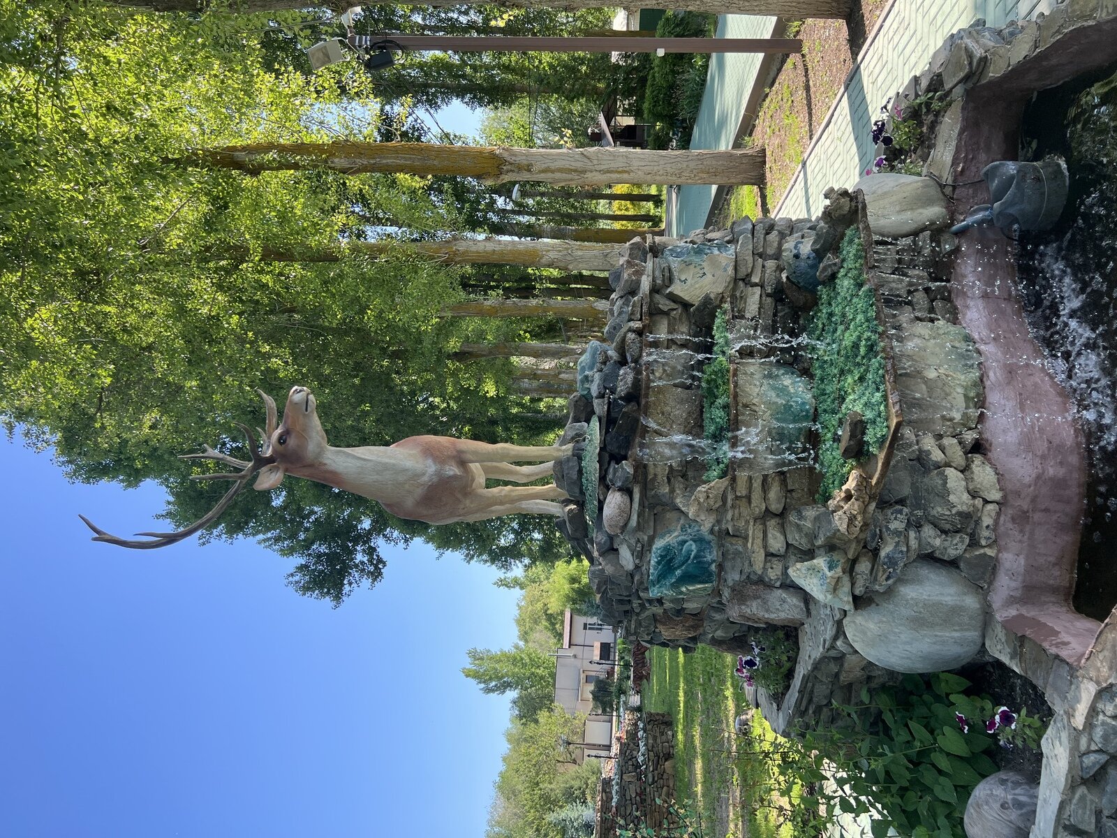 Фото 16 из отзыва о базе отдыха Лазурит