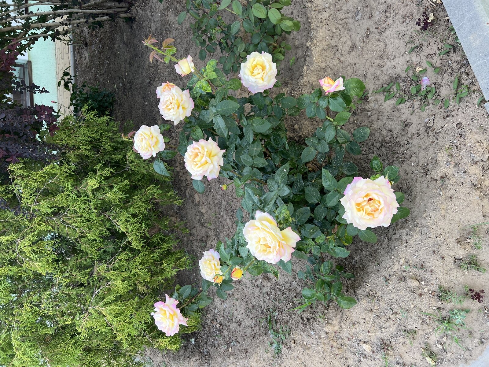 Фото 15 из отзыва о базе отдыха Лазурит