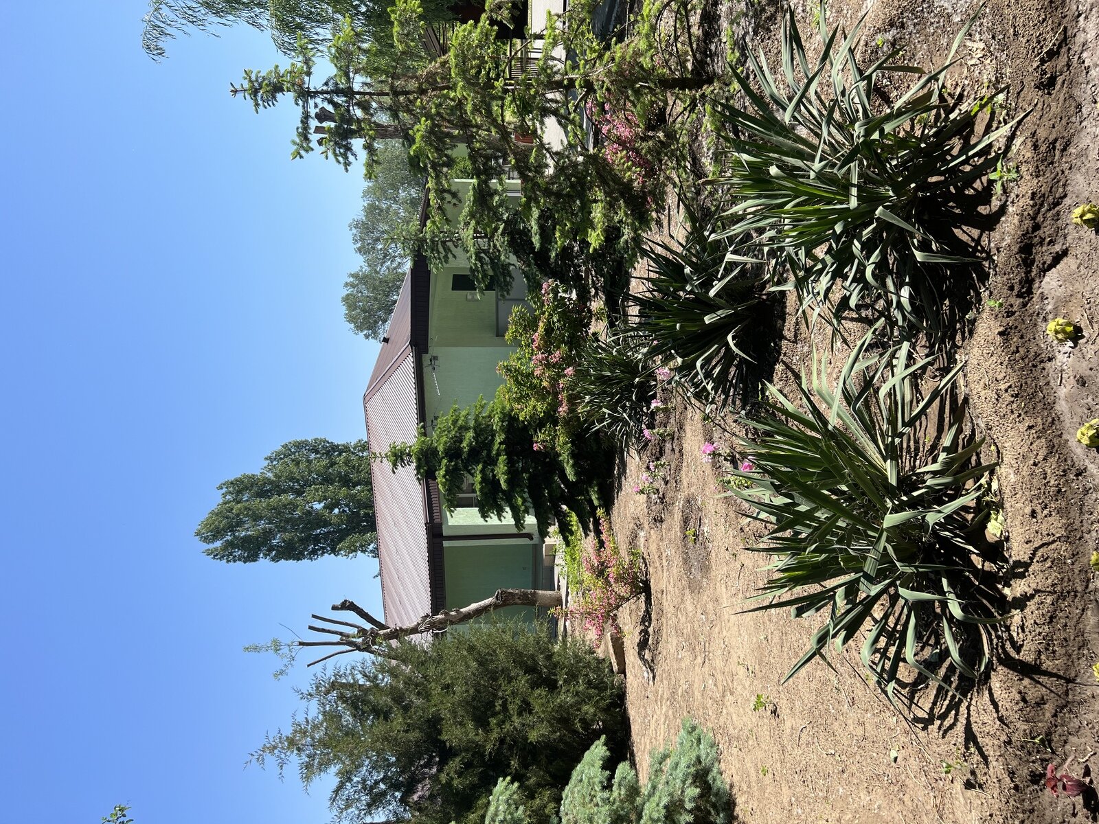 Фото 14 из отзыва о базе отдыха Лазурит