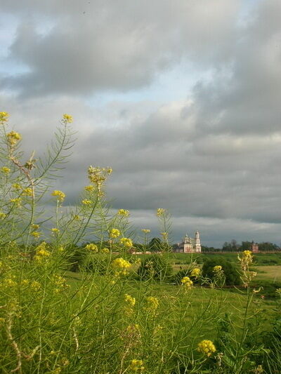 Природа | Суздаль Терем, Владимирская область
