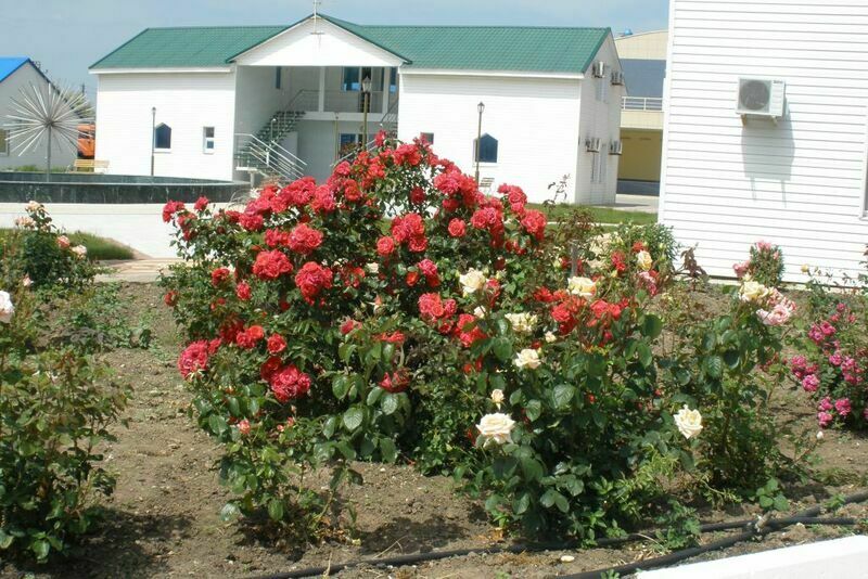 Территория | Малахит, Краснодарский край