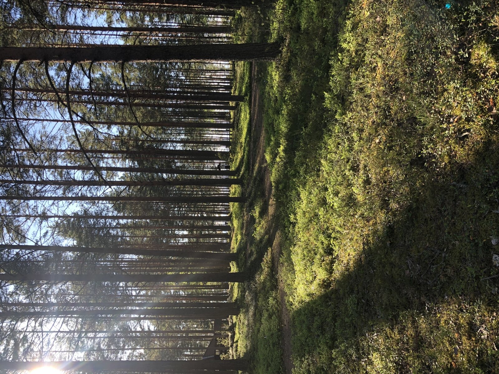 Фото 20 из отзыва о базе отдыха Сямозеро