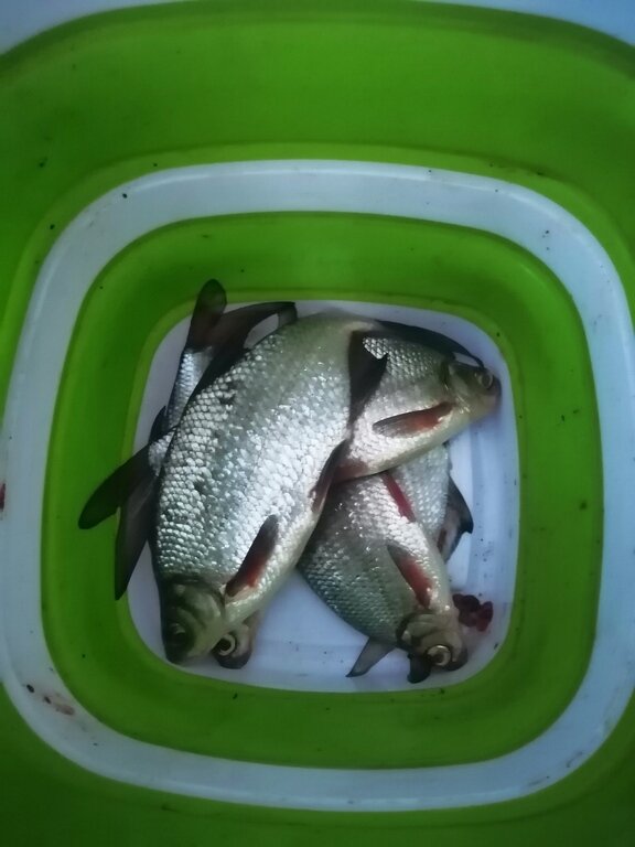 Фото из отзыва от 27.05.2022