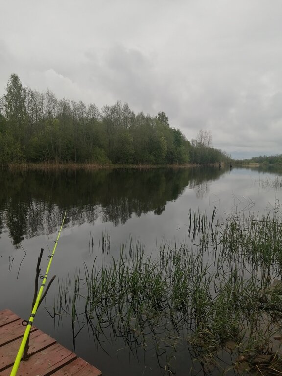 Фото из отзыва от 27.05.2022