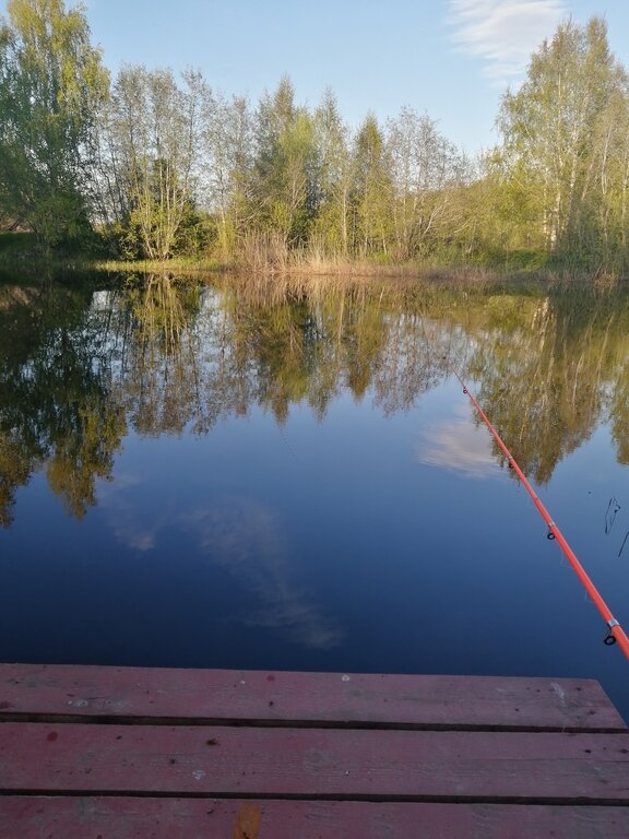 Фото из отзыва от 27.05.2022