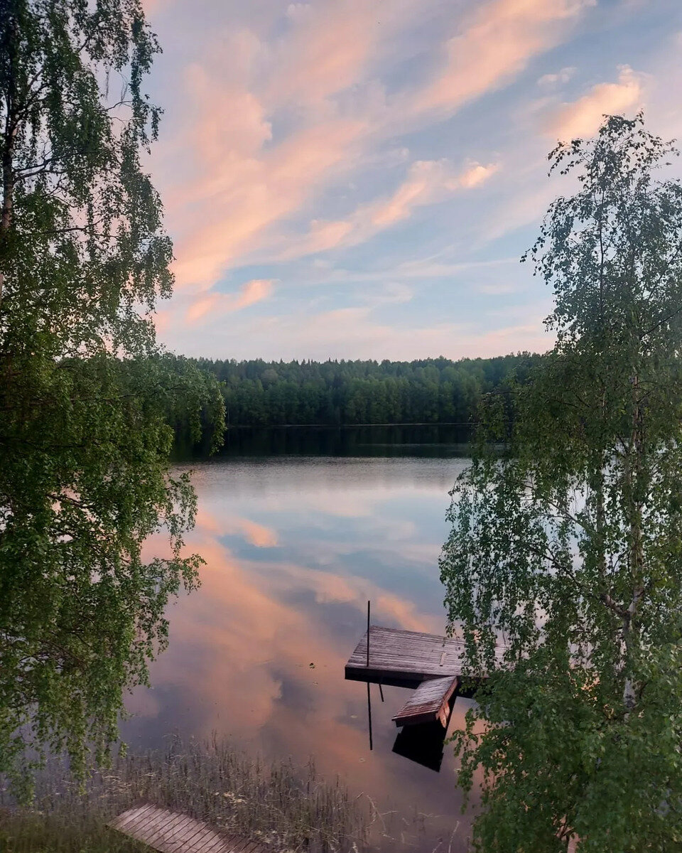 Фото 55 из отзыва о базе отдыха Лесное озеро