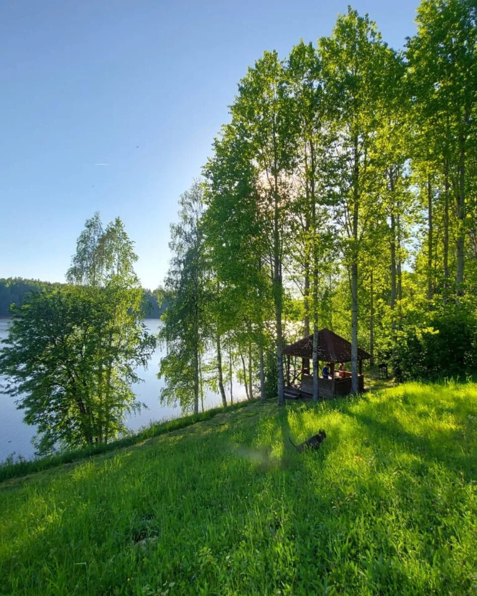 Фото 54 из отзыва о базе отдыха Лесное озеро