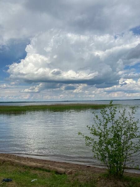 Фото 1 из отзыва об эко-комплексе База отдыха и экоферма Старый Сиг