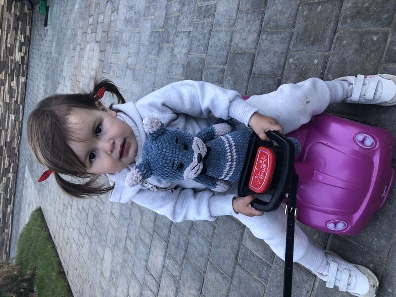 Фото 4 из отзыва об эко-отеле Новый Ковчег