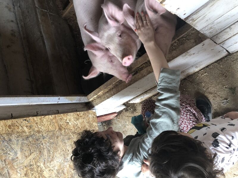 Фото 5 из отзыва об эко-отеле Новый Ковчег