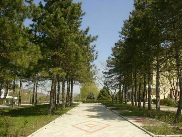 Аллея | Тешебс, Краснодарский край