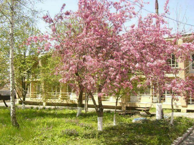 Территория базы | Тешебс, Краснодарский край