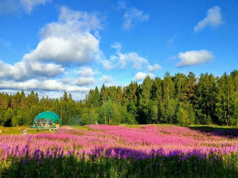 Глэмпинг Папоротник, Лахденпохский район, Республика Карелия