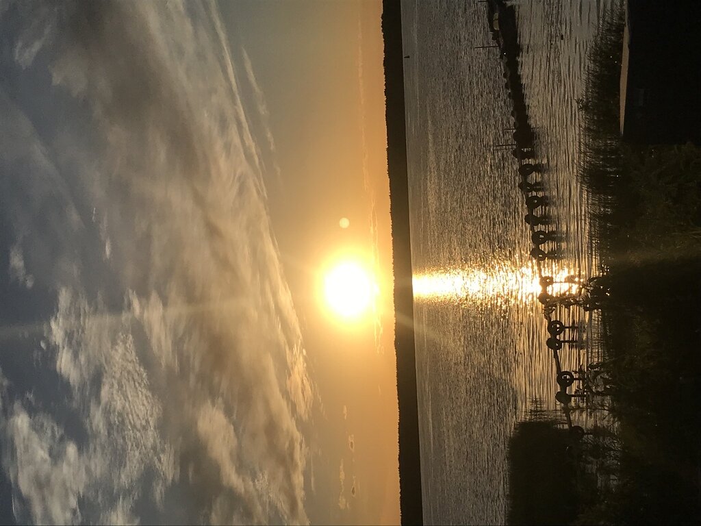 Фото из отзыва от 19.06.2022