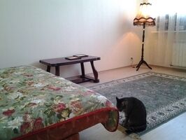 Номера стандарт, Гостевой дом Domodedoff Inn, Подольский район