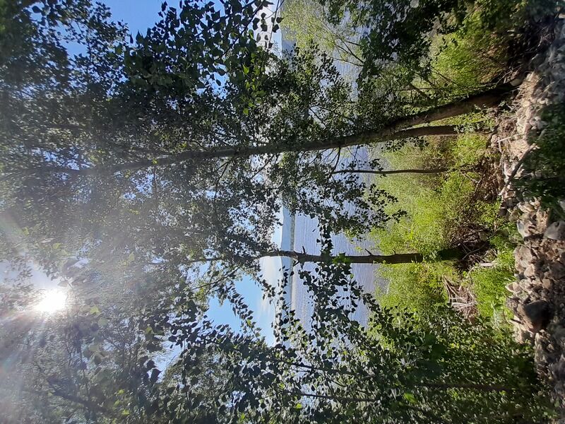 Фото 10 из отзыва о загородном комплексе Алые Паруса